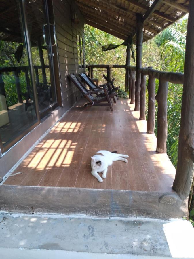 Tree House Bungalows Ko Tao Dış mekan fotoğraf