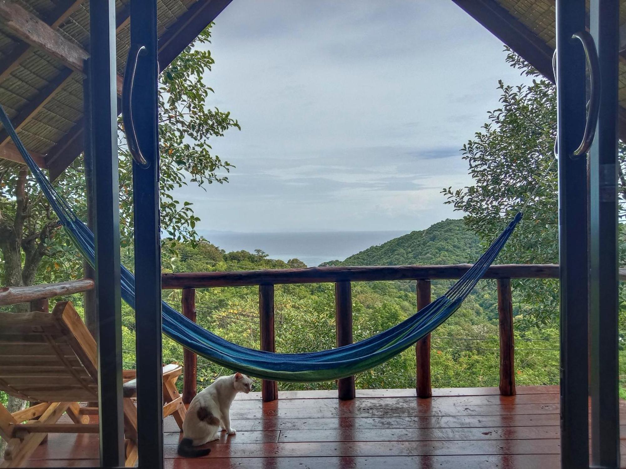 Tree House Bungalows Ko Tao Dış mekan fotoğraf